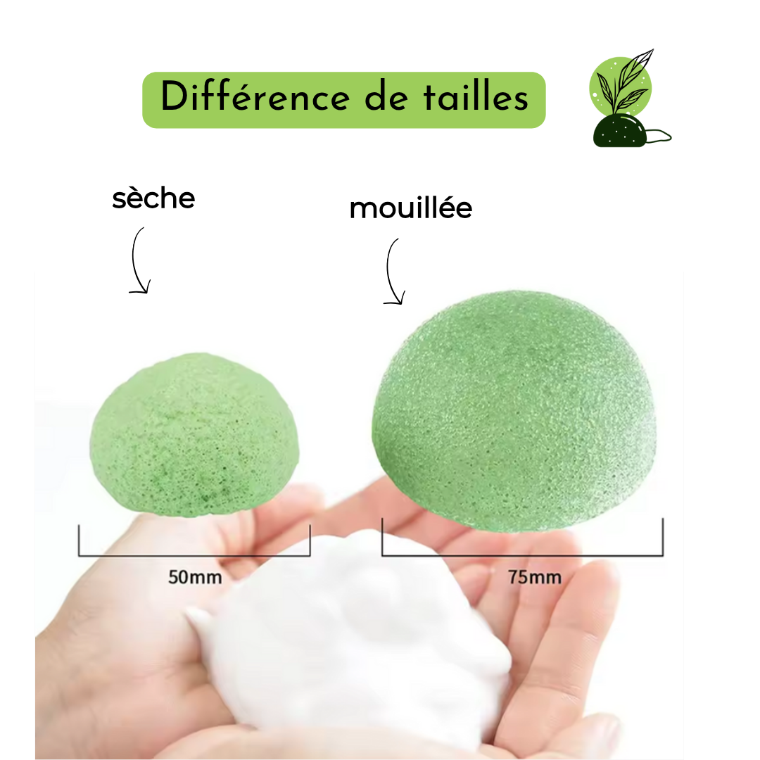 Pack 3 éponges Konjac, Charbon, Thé vert