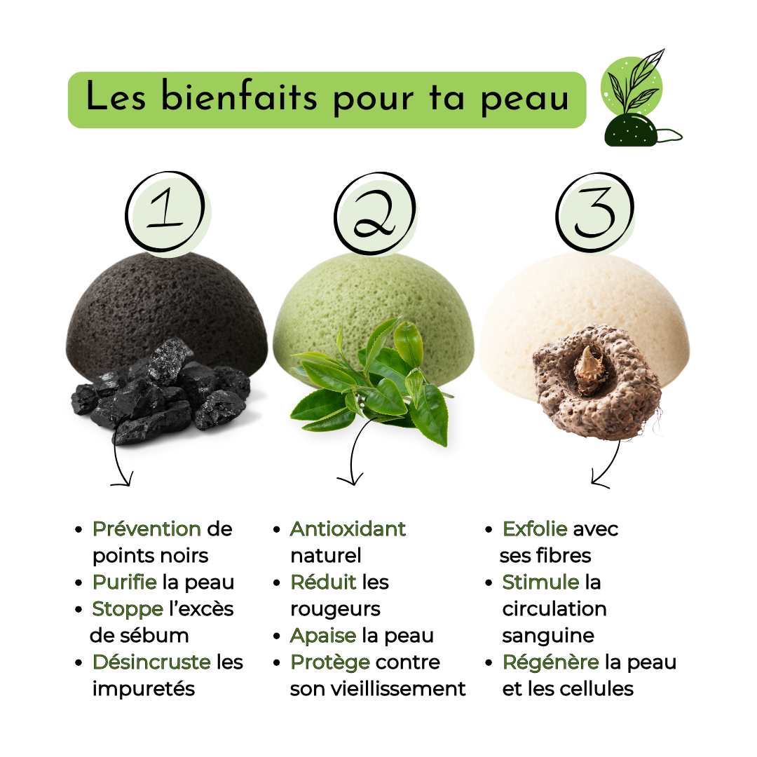 Pack 3 éponges Konjac, Charbon, Thé vert